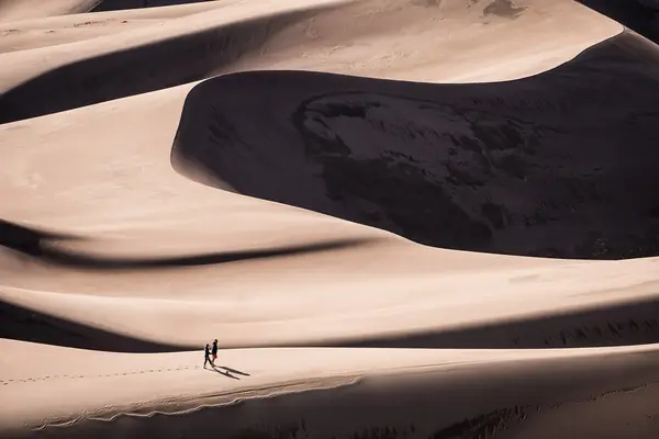 North America's tallest dunes