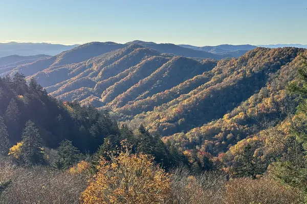 Layered blue ridges from Newfound Gap