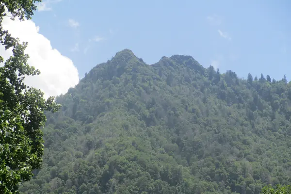 The Chimney Tops