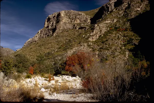 Autumn beneath the peaks
