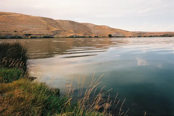 The river and the fossil beds