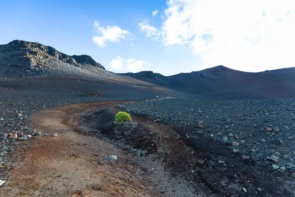 Hiking the Sliding Sands trail