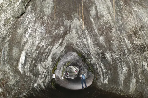 The Thurston Lava Tube