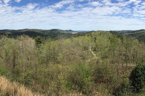 Forested Ouachita hills above town