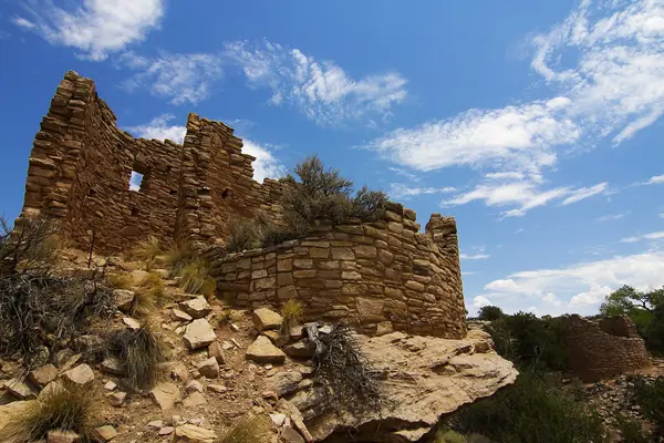 Cutthroat Castle