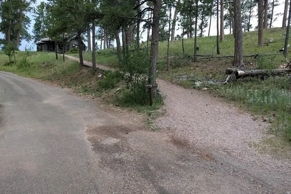 The Black Hills forest above the cave