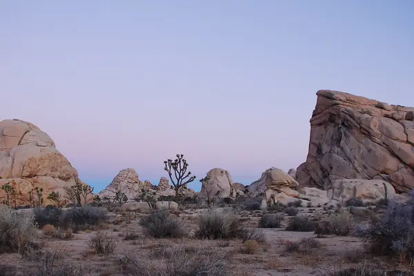 Sunrise on the boulders