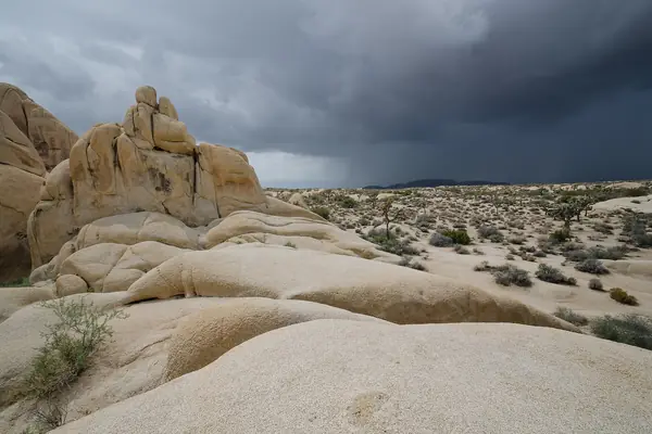 A thunderstorm builds over the desert