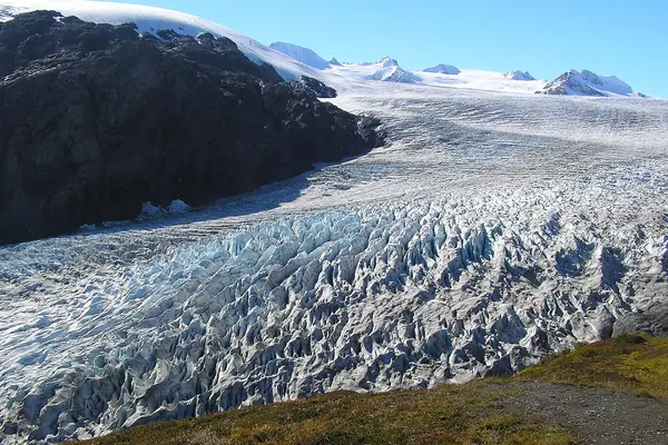 Exit Glacier