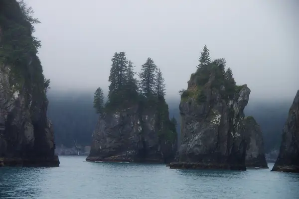Sea cliffs along the fjords