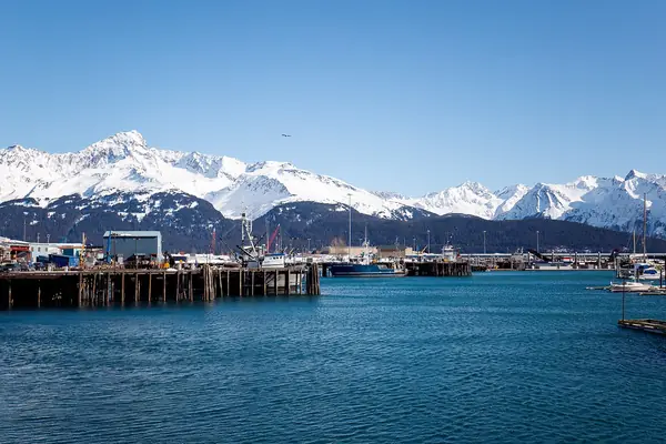 Seward and the bay