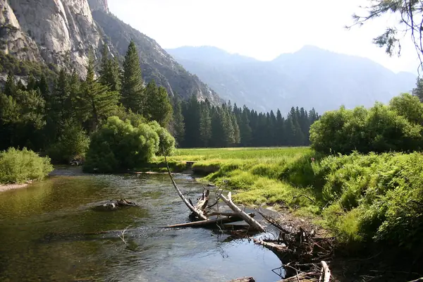 Morning in Zumwalt Meadow
