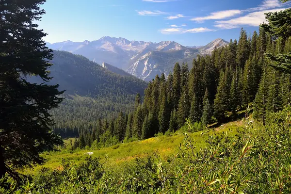 The Copper Creek Trail