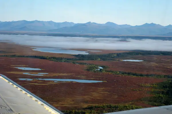 Arctic tundra wetlands