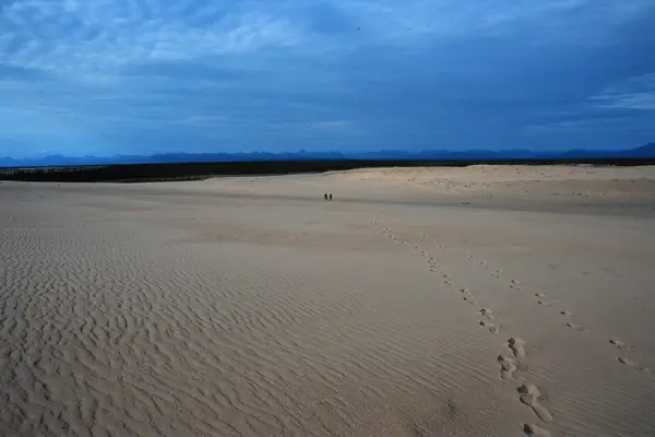 Dunes in the Arctic