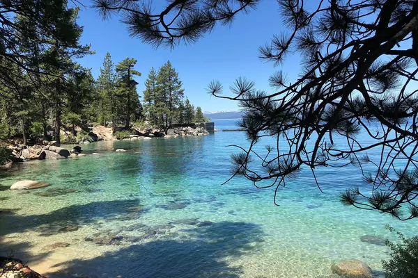 A pine-fringed Tahoe beach