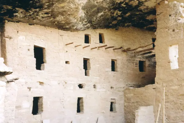 Spruce Tree House