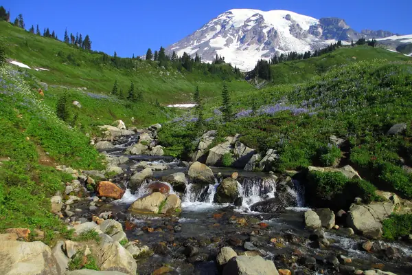 Myrtle Falls below the mountain