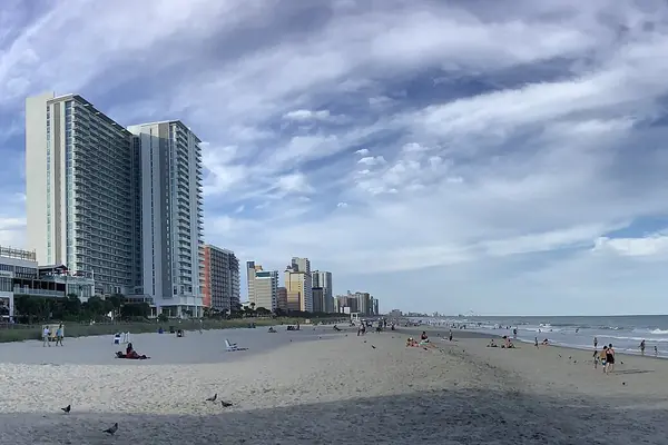 The beachfront skyline