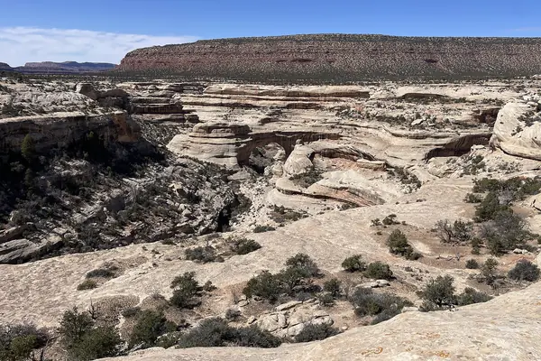 A natural bridge over the canyon