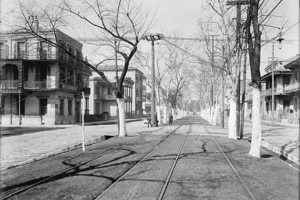 A leafy avenue of historic homes