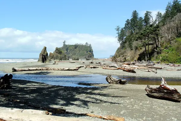 Sea stacks at Ruby Beach