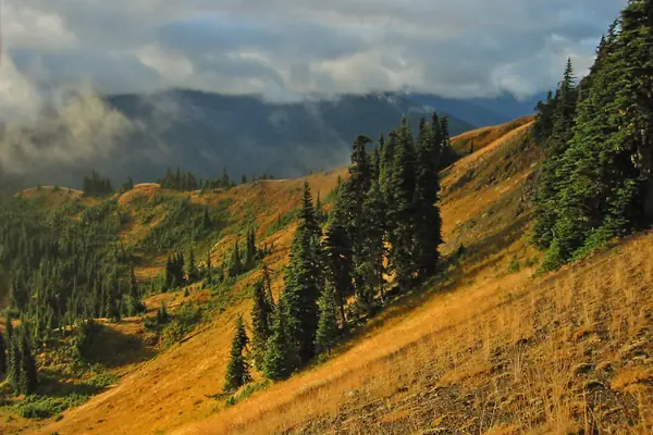 Peaks from Hurricane Ridge