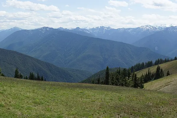 Panorama from Hurricane Ridge