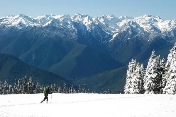 Hurricane Ridge in winter