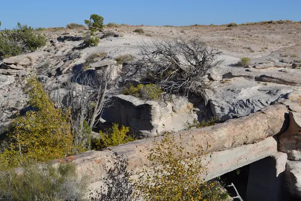 Agate Bridge, a petrified-log span