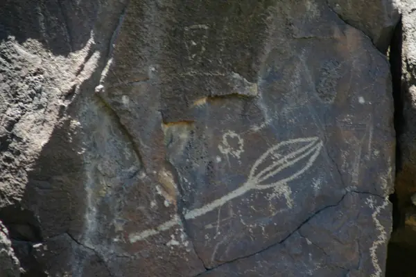 Ancestral Puebloan petroglyphs