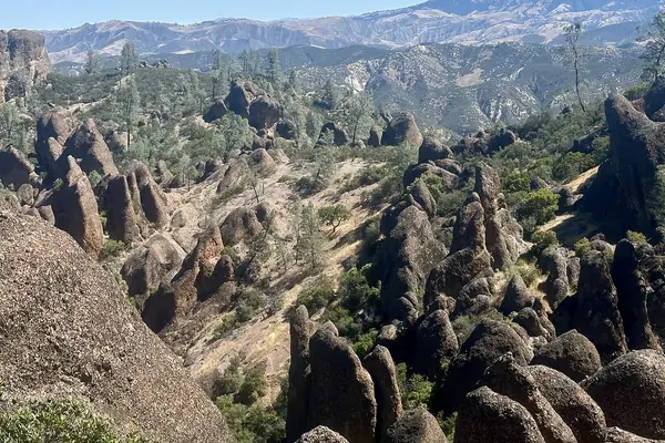 The pinnacles' jagged rock
