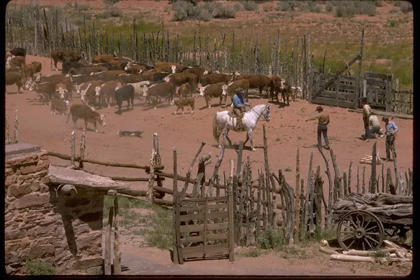 Corrals and ranch buildings