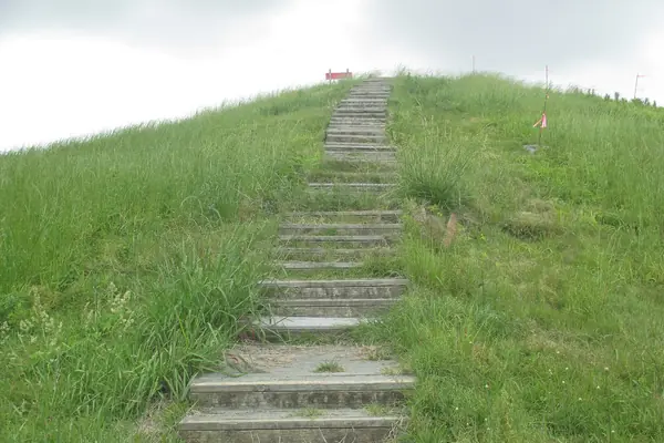 Steps up Mound A, a massive earthwork