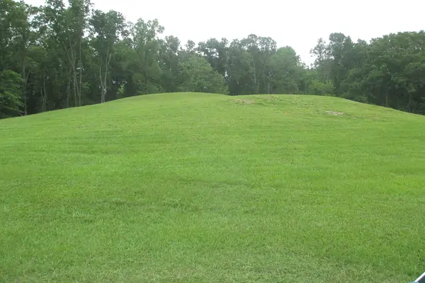 Mound B on the prairie