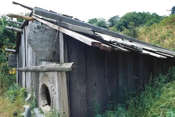 A traditional Yurok plank house