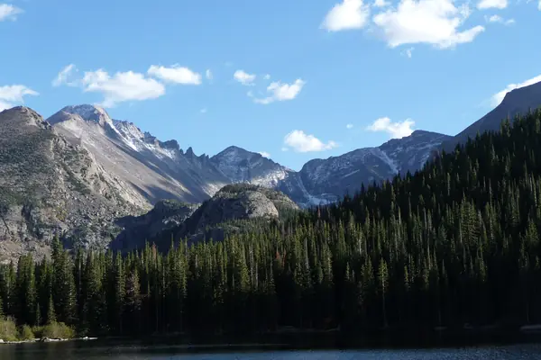 Snowcapped peaks and forest