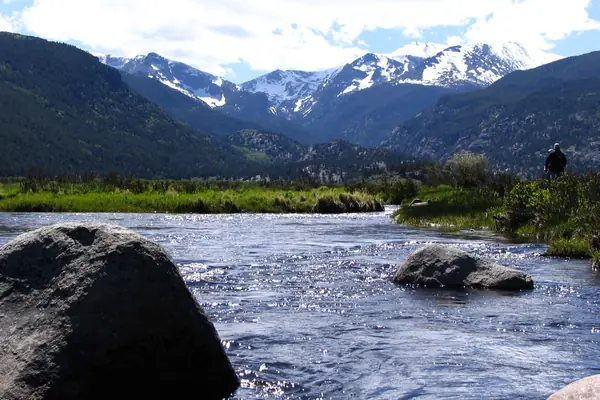 A mountain stream in the park