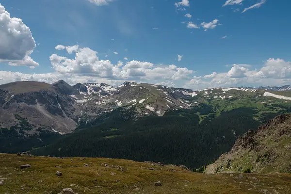 Alpine tundra near Mount Ida
