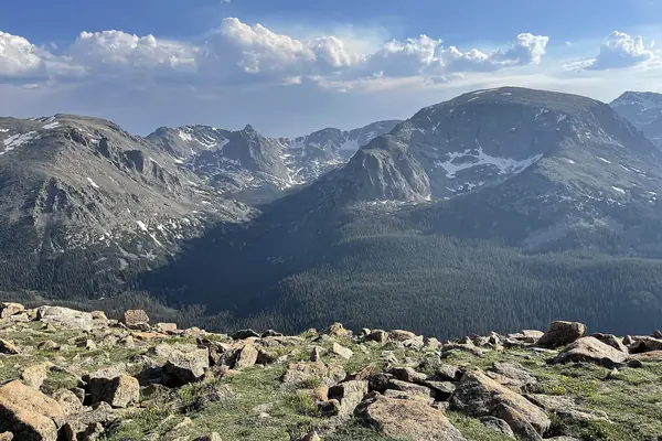 From the Forest Canyon Overlook