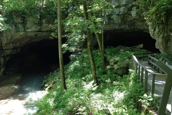 The Russell Cave shelter