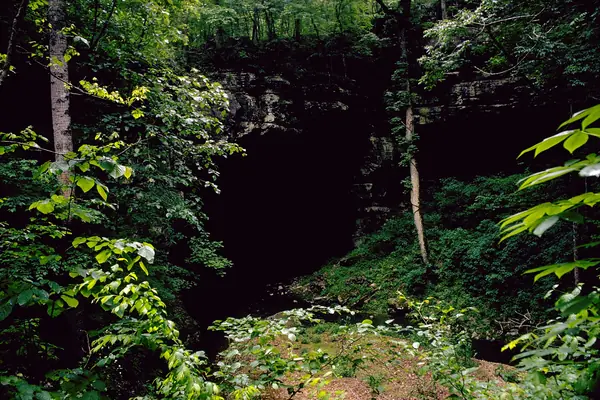 The cave entrance and stream