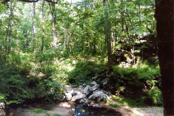 The stream below the cave