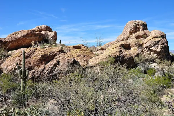 Javelina Rocks