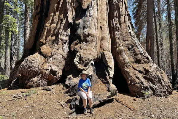 Giants that dwarf a person