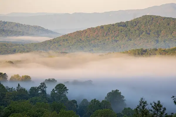 Morning fog in the valley