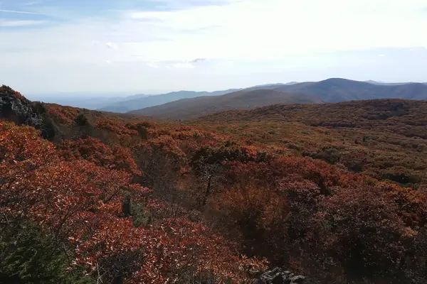 Autumn reds along the ridges