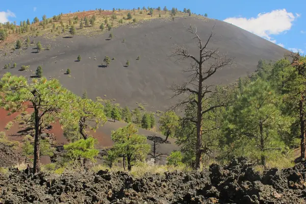 The cinder cone's colorful rim