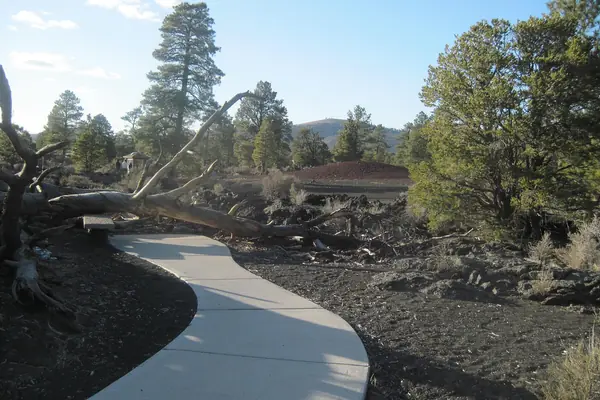 A trail through the lava field
