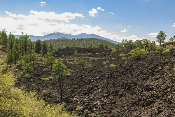 A hardened lava field